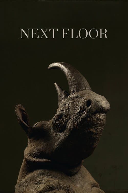 Póster de Next Floor