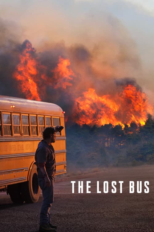 Póster de Laberinto en llamas