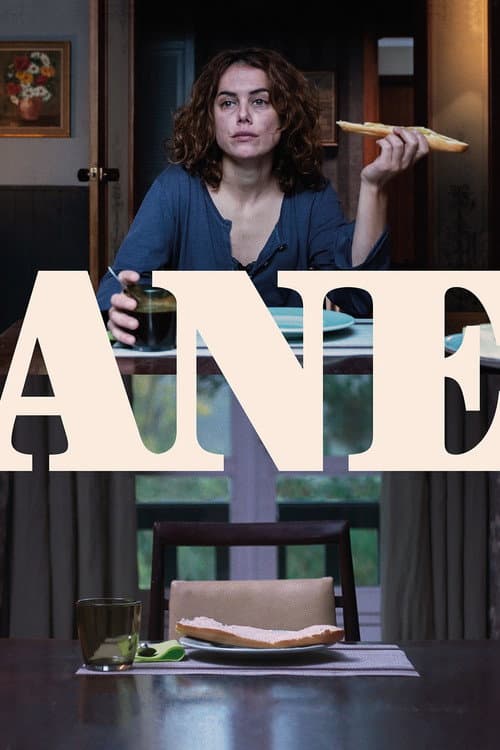Póster de Ane Is Missing