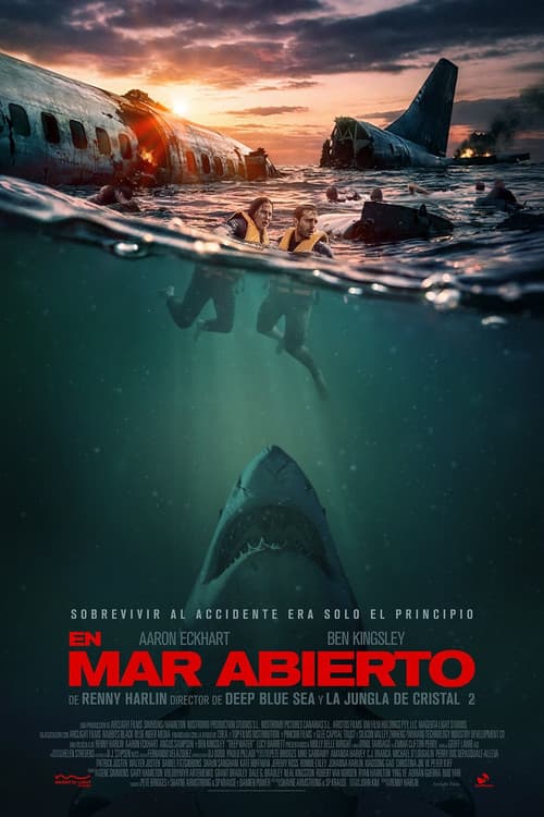 Póster de En mar abierto