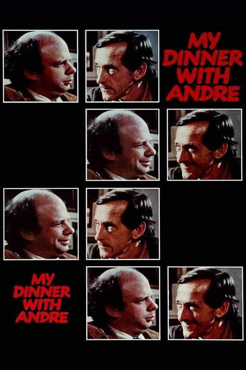 Póster de Mi cena con André