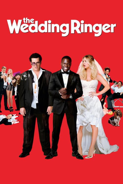 Póster de El gurú de las bodas