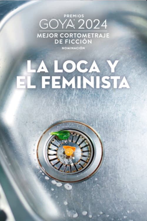 Póster de The madwoman and the feminist
