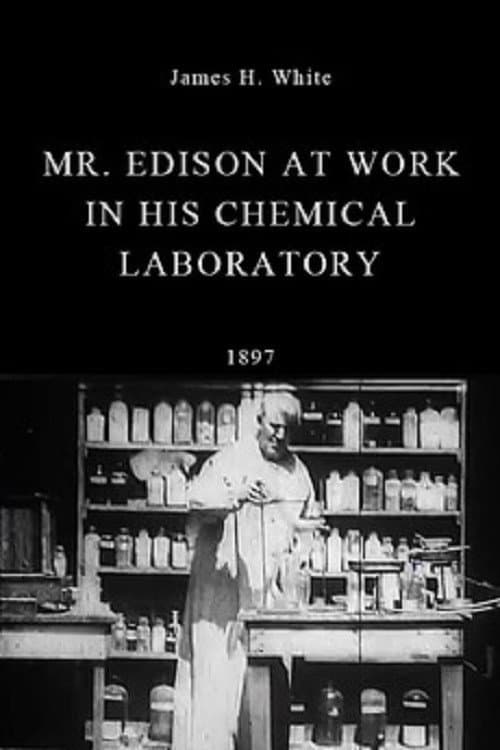 Póster de Mr. Edison at Work in His Chemical Laboratory