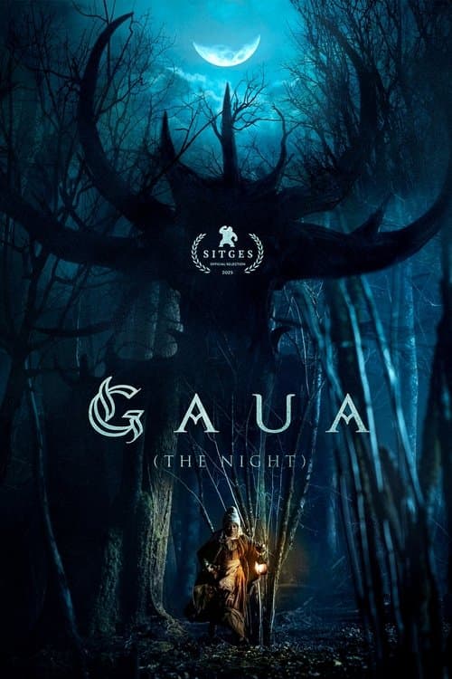 Póster de Gaua (The Night)