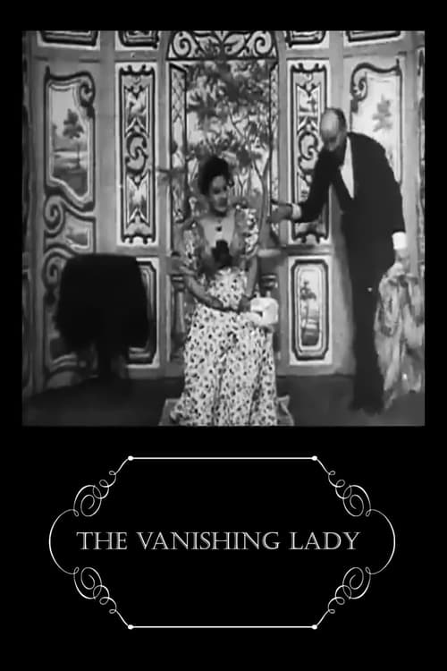 Póster de The Vanishing Lady