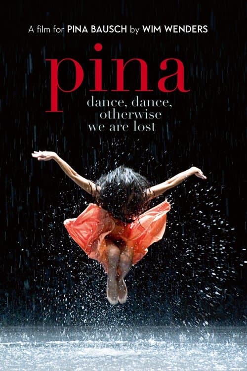 Póster de Pina