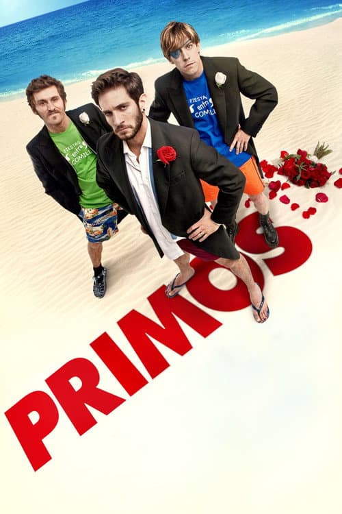 Póster de Cousinhood
