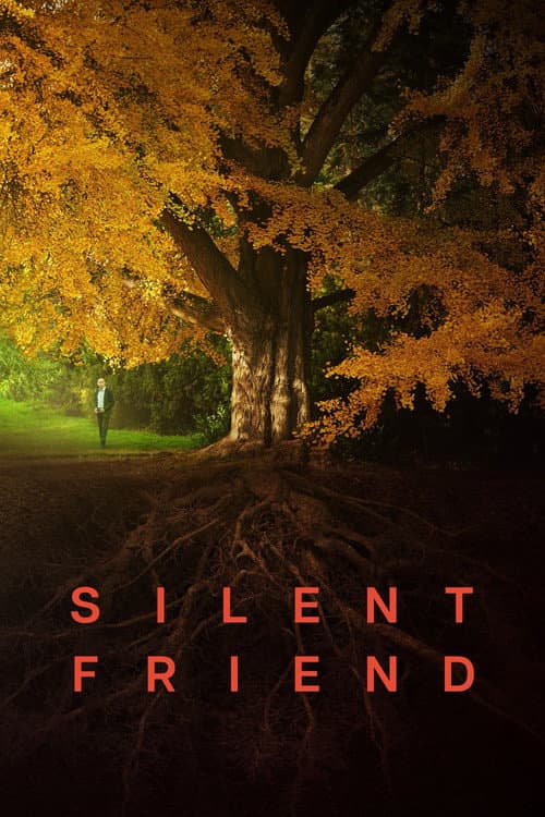 Póster de El amigo silencioso