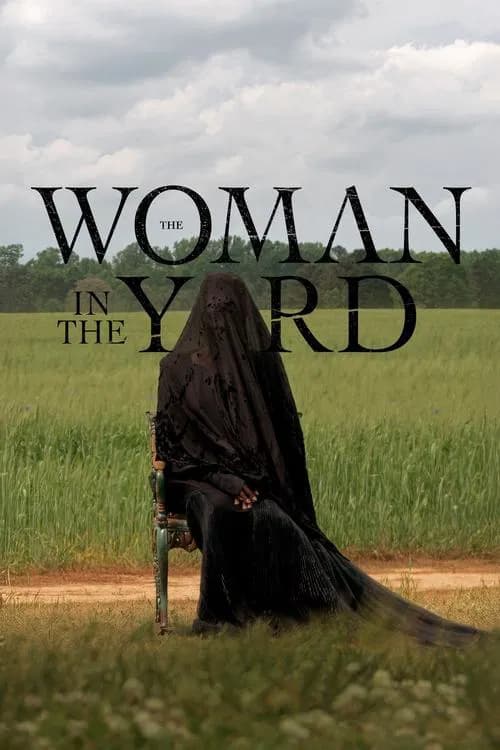 Póster de La mujer de las sombras
