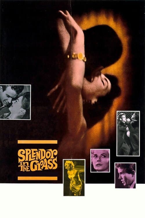 Póster de Esplendor en la hierba
