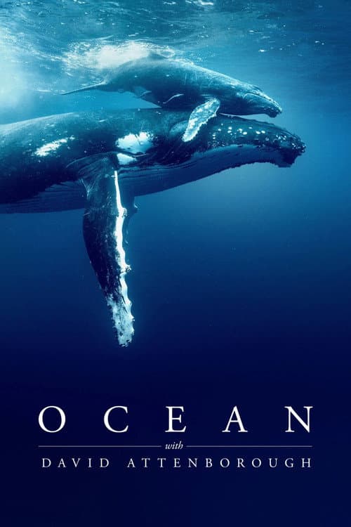 Póster de Océanos con David Attenborough