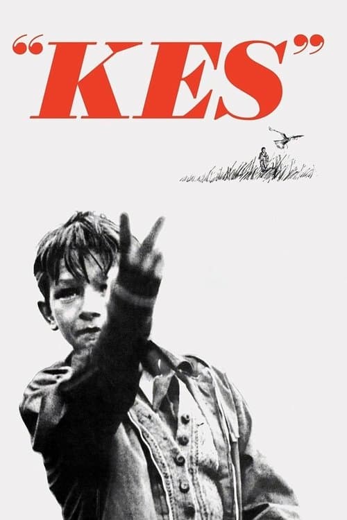 Póster de Kes