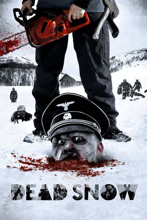 Póster de Zombis nazis
