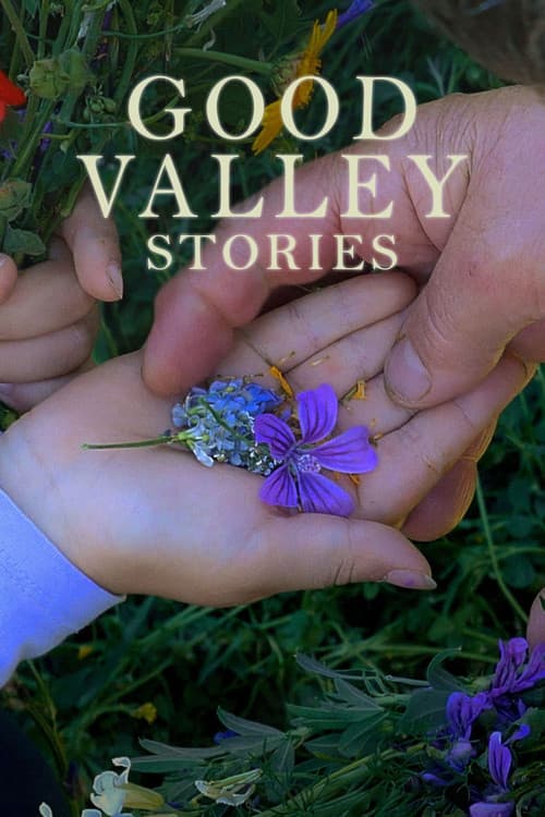 Póster de Historias del buen valle