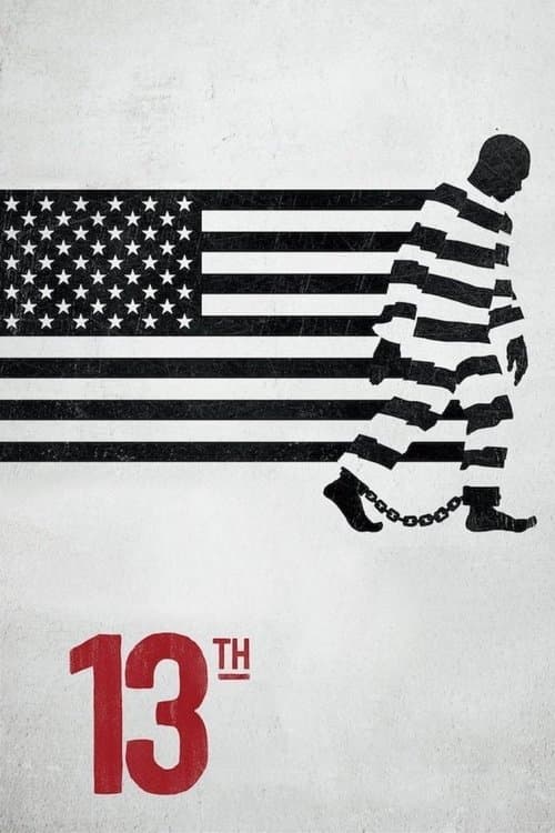 Póster de Enmienda XIII