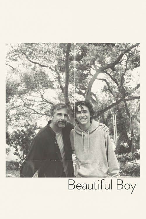 Póster de Beautiful Boy: siempre serás mi hijo