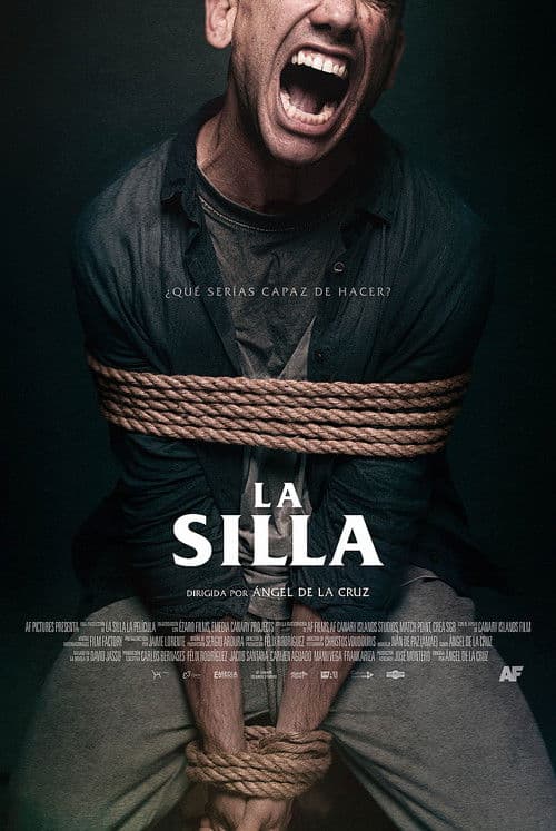 Póster de La silla