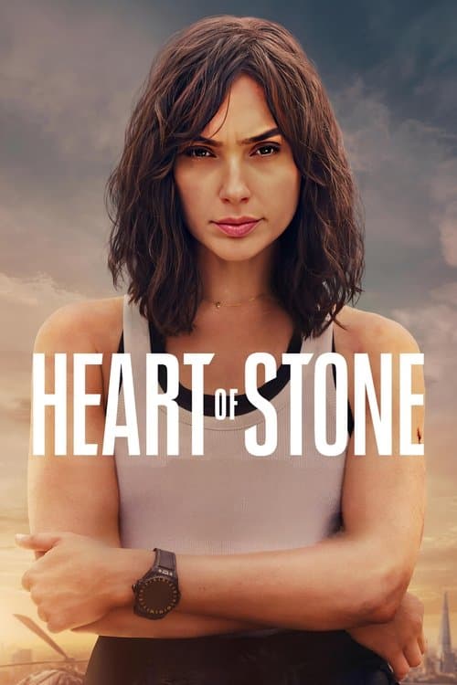 Póster de Agente Stone