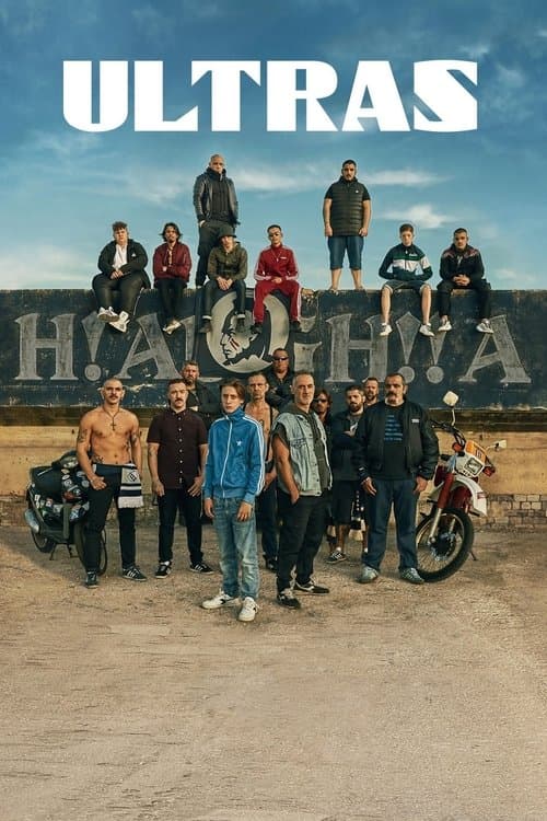 Póster de Hinchas radicales