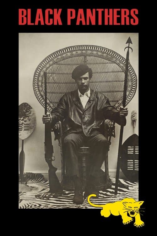 Póster de Black Panthers