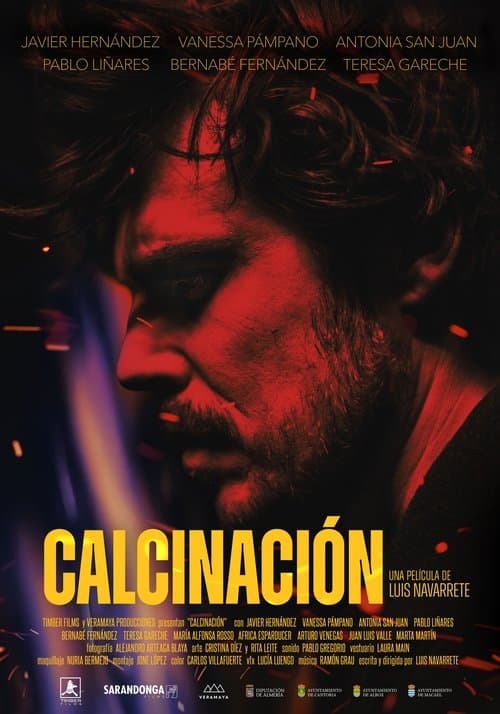 Póster de Calcinación