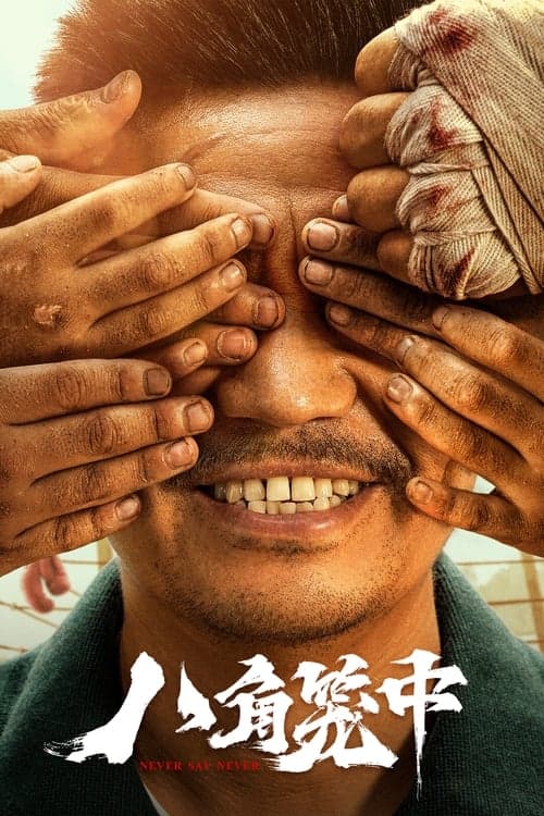 Póster de 八角笼中