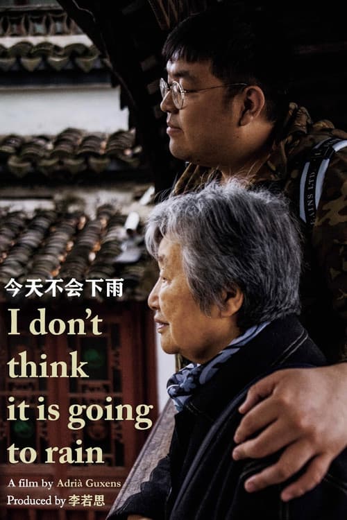 Póster de I Don't Think It Is Going to Rain