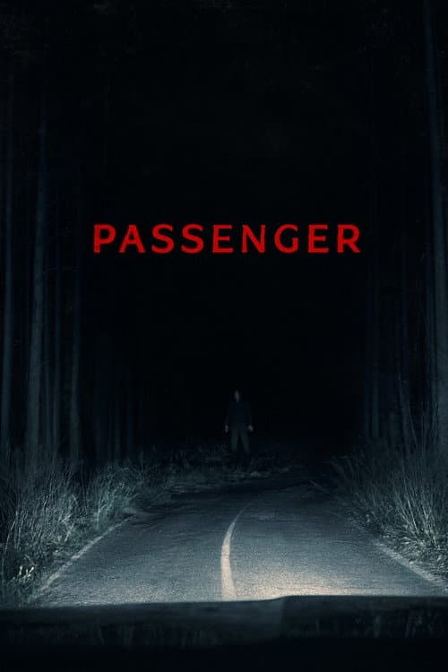 Póster de El pasajero nocturno