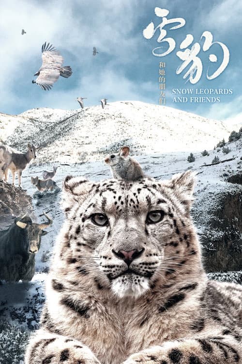 Póster de 雪豹和她的朋友们