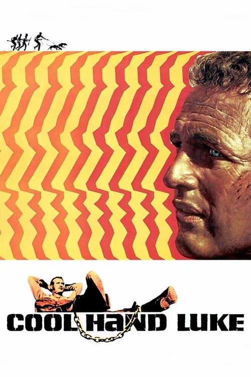 Póster de La leyenda del indomable