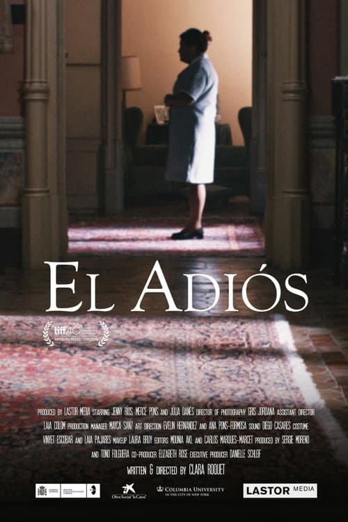 Póster de The Goodbye