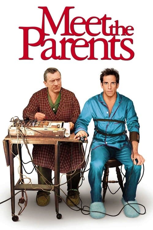 Póster de Los padres de ella