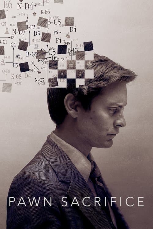 Póster de El caso Fischer