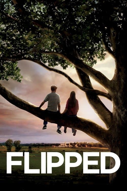Póster de Flipped