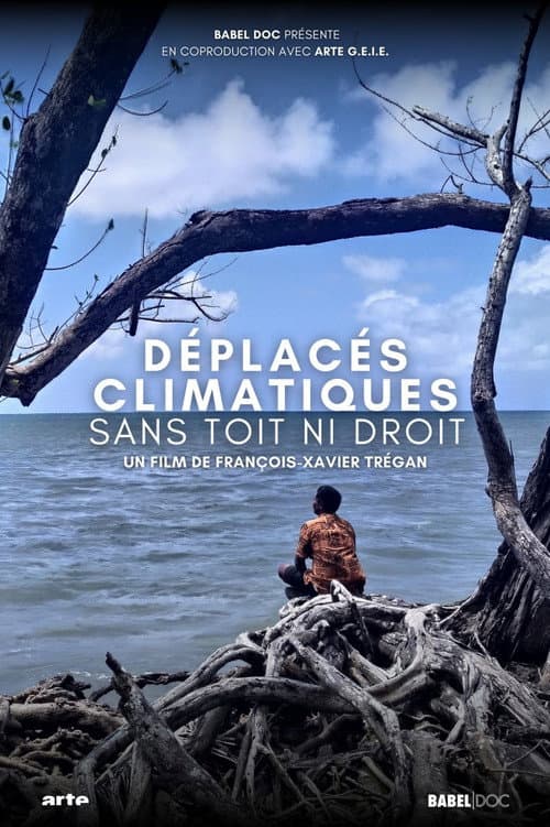 Póster de Refugiados Climáticos: Un Desafío Global