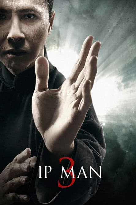 Póster de Ip Man 3