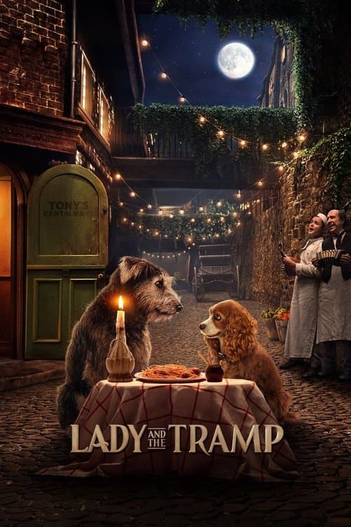 Póster de La dama y el vagabundo