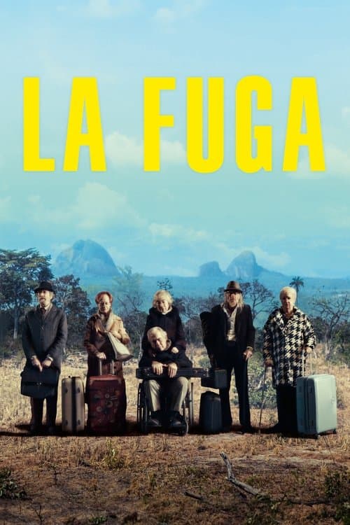 Póster de La fuga