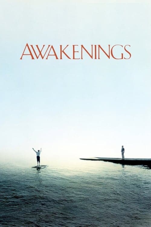 Póster de Despertares