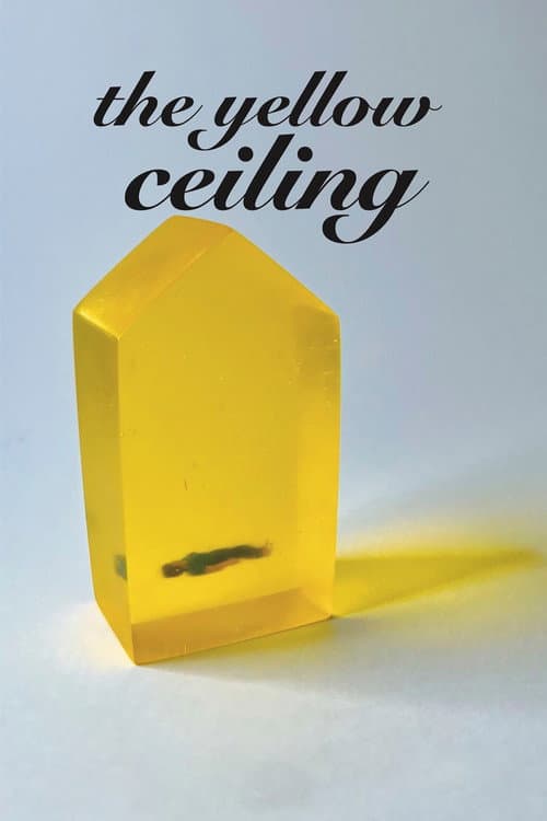 Póster de El techo amarillo