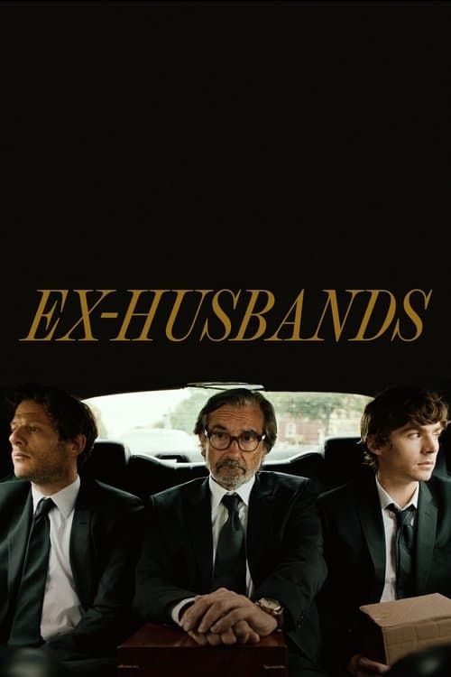 Póster de Ex maridos