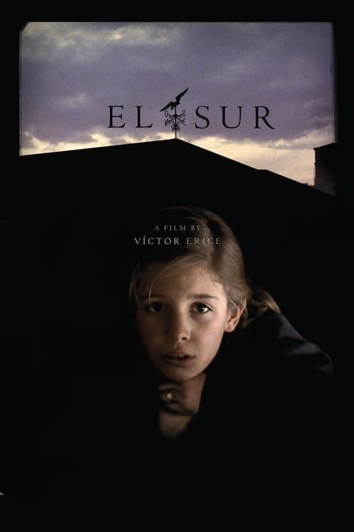 Póster de El Sur