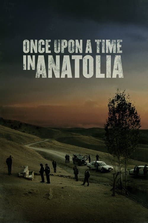 Póster de Érase una vez en Anatolia