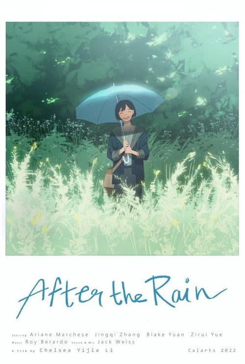 Póster de After the Rain
