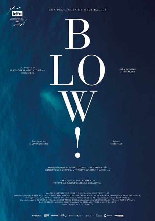 Póster de Blow!
