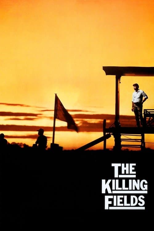 Póster de Los gritos del silencio