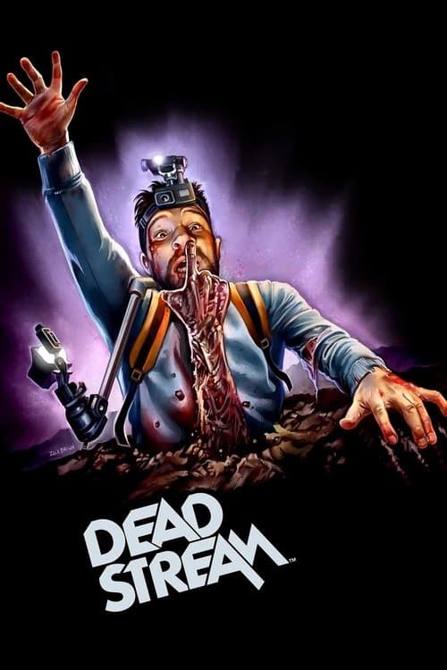 Póster de Deadstream