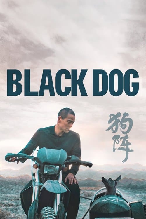 Póster de Black Dog