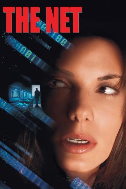 Póster de La red